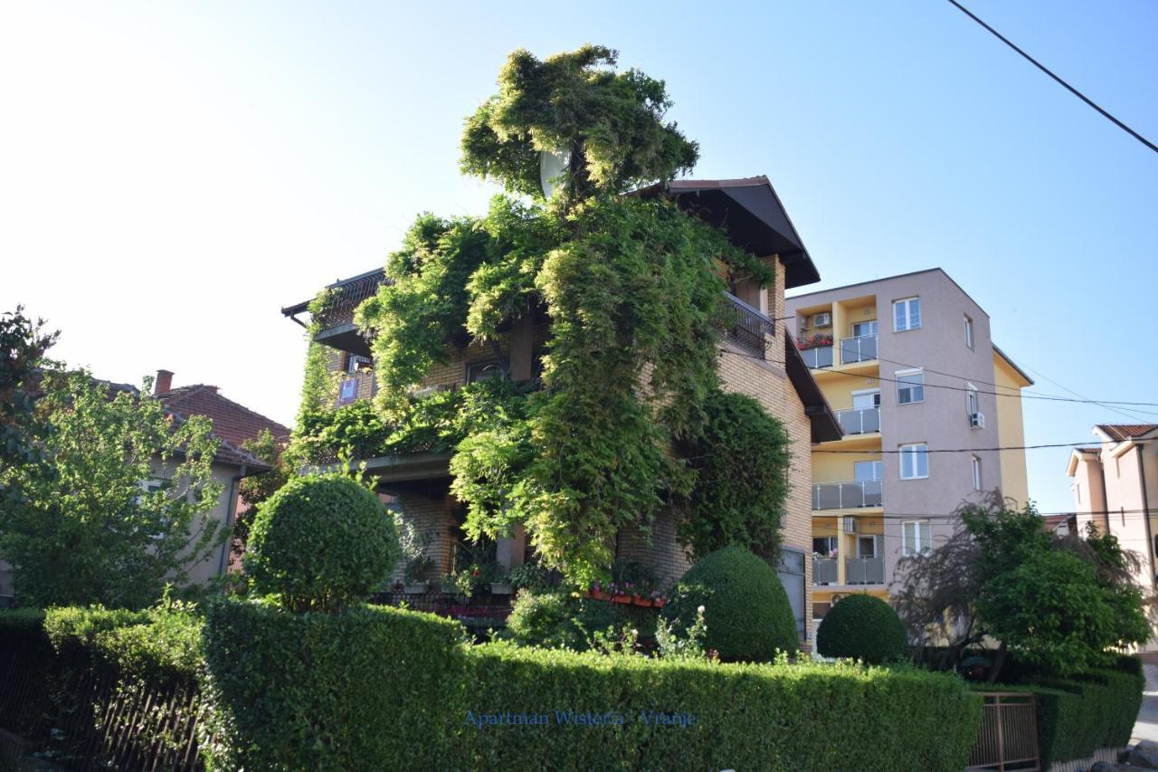 Apartman Wisteria Vranje Kültér fotó