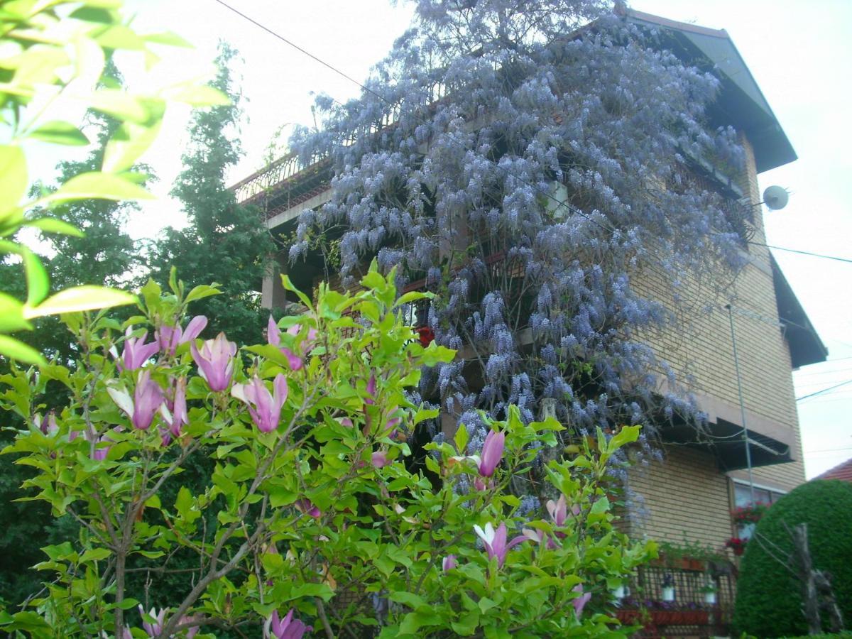 Apartman Wisteria Vranje Kültér fotó