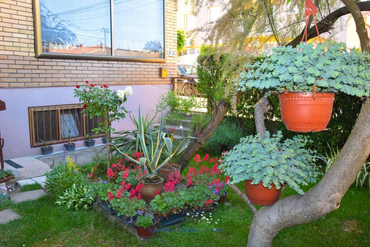 Apartman Wisteria Vranje Kültér fotó