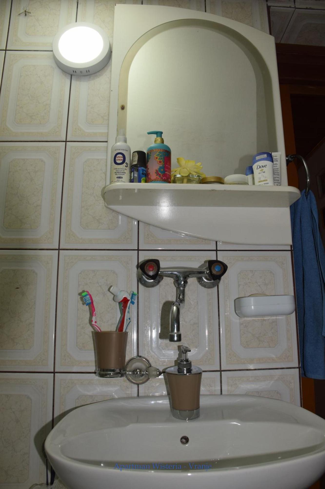 Apartman Wisteria Vranje Kültér fotó